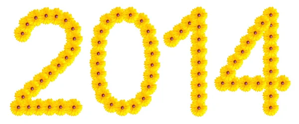 Radostnou zprávu rok, počet květů — Stock fotografie