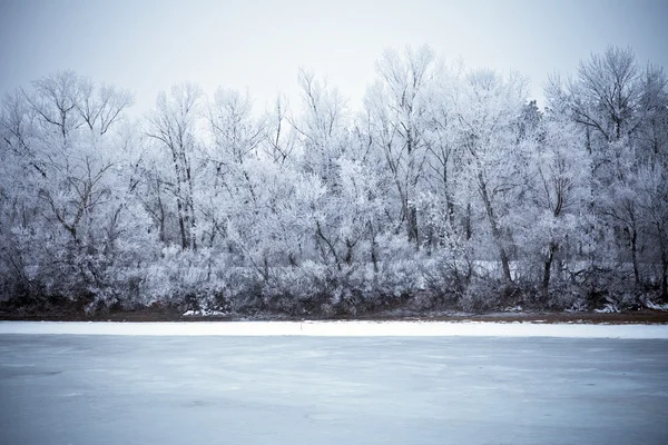 Winterlandschap — Stockfoto