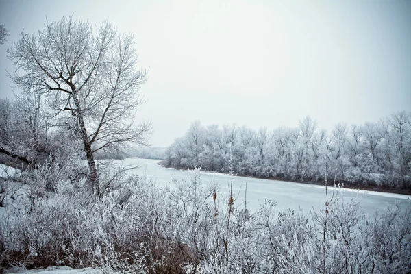 Winterlandschap — Stockfoto