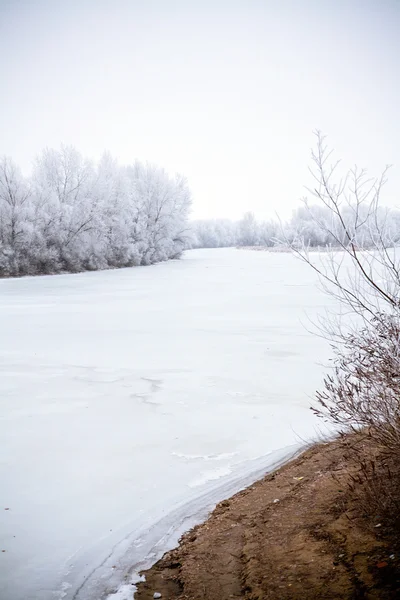 Paisaje invierno — Foto de Stock