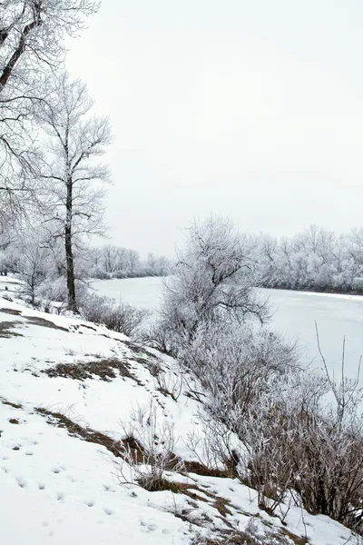 Paisagem inverno — Fotografia de Stock