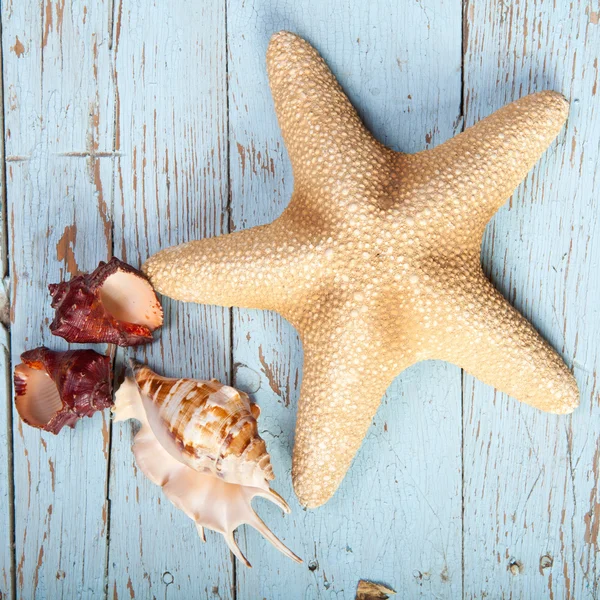 Seesterne und Muscheln auf dem hölzernen Hintergrund — Stockfoto