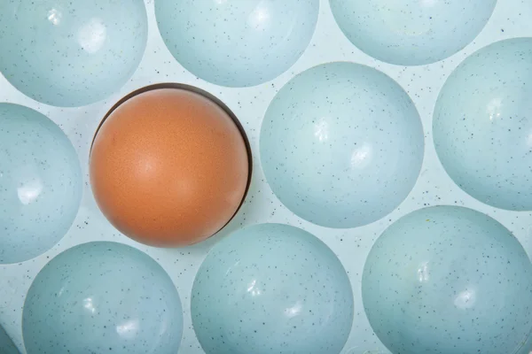 Egg in a plastic container — Stock Photo, Image