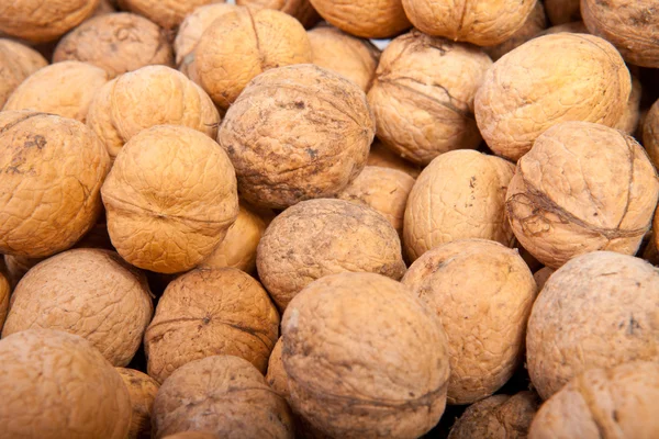 Many walnuts background — Stock Photo, Image