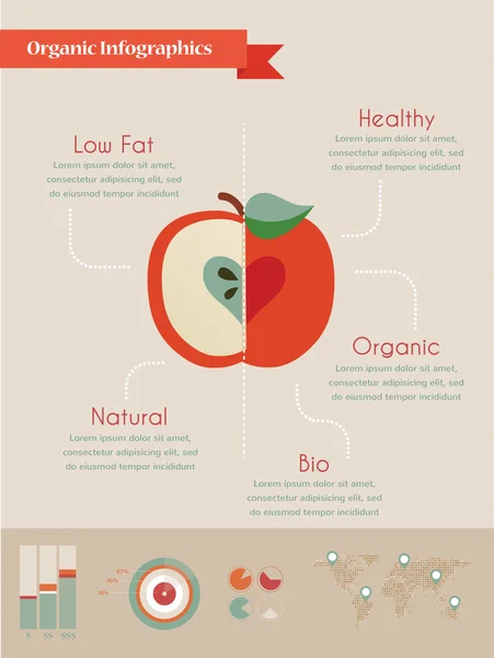 Organic infographics with apple and charts — Stock Vector