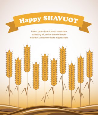 altın buğday alanı, shavuot kartı