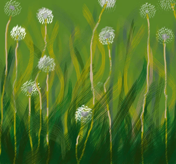 Dandelions in the grass — Stock Photo, Image