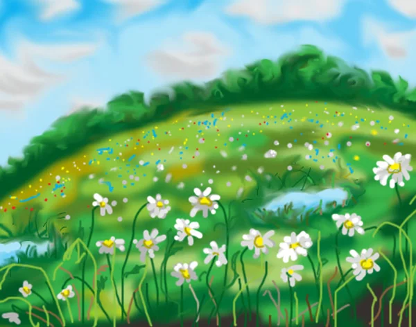 Field of daisies — Stock Photo, Image