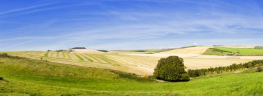 Panoramic Rolling Farmland clipart