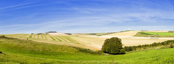 Panoramatické zvlněnou zemědělskou — Stock fotografie