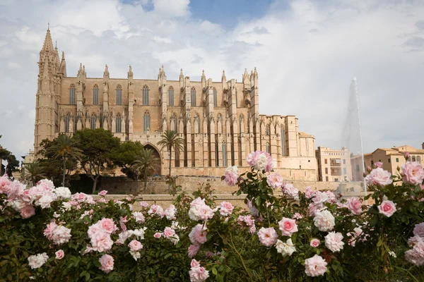 Kathedraal in palma, Mallorca — Stockfoto