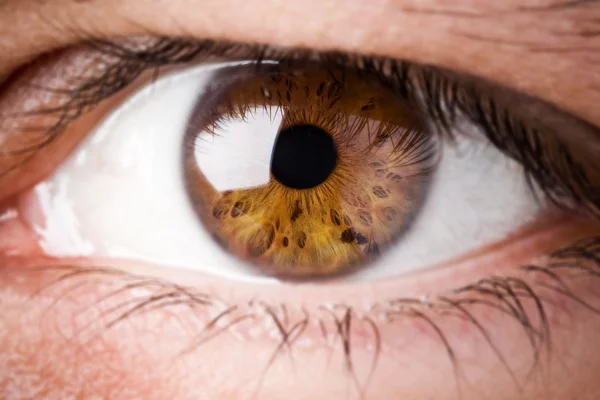 Extreme close up of a human eye — Stock Photo, Image