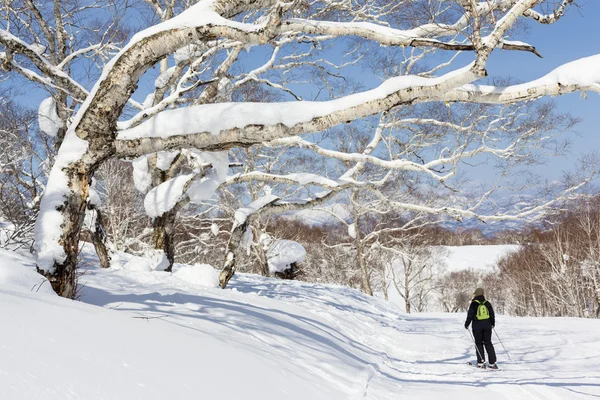 Mulher esquis passado neve coberto árvores — Fotografia de Stock