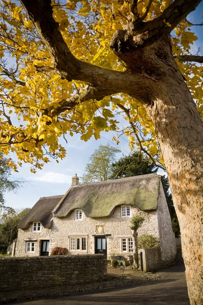 Herfst cottage — Stockfoto