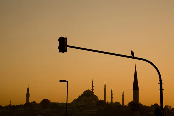 Suleymaniye Mosque silhouetted at sunset, Istanbul — Stock Photo, Image