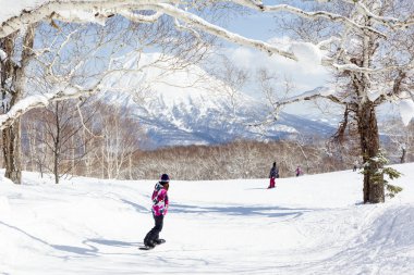 Snowboarding through Trees in Niseko, Japan clipart