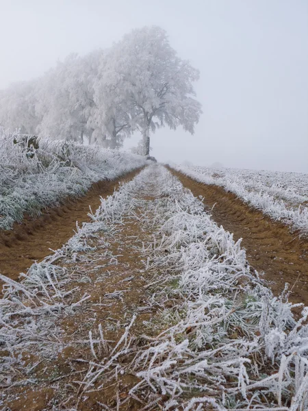 Frozen farm track — Stock Photo, Image