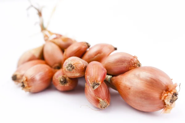 7,871 Bunch Shallot Royalty-Free Images, Stock Photos & Pictures