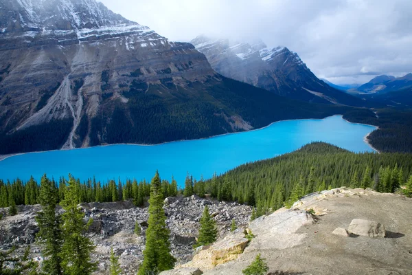 Peyto jezero — Stock fotografie