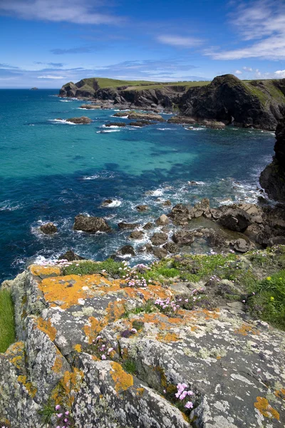 Cornish kıyı şeridi — Stok fotoğraf