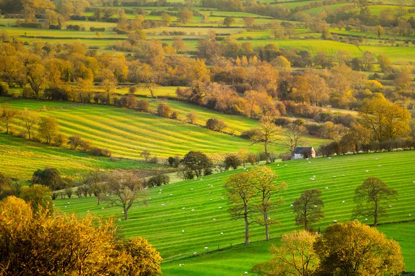 Susnet View of the Derbshire Dales — Stock Photo, Image