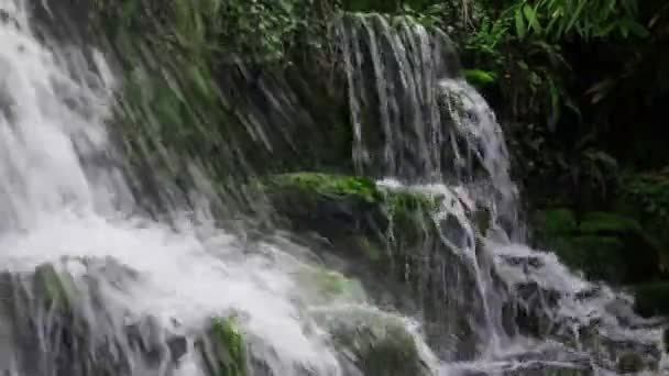 Chute d'eau forestière Fermer — Video