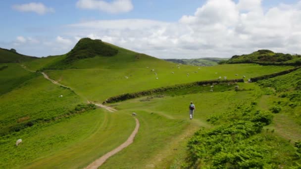 Woman Walking Through Scenic British Countryside — Stock Video