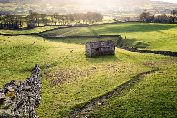 Ländliche Aussicht mit Wiesen, Schafen, Trockenmauern und einem traditionellen — Stockfoto
