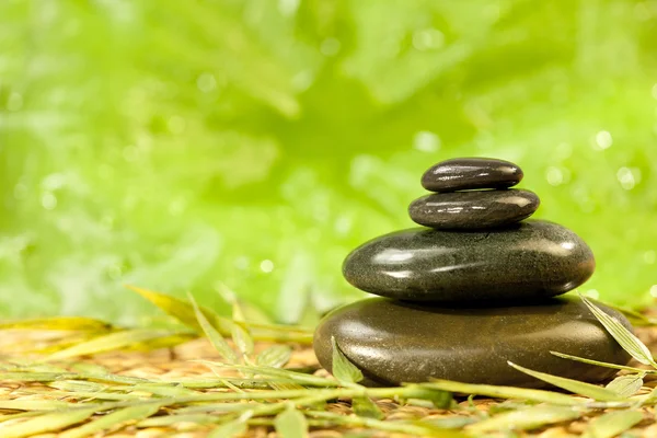 Wellness massage van hete stenen in groene omgeving — Stockfoto