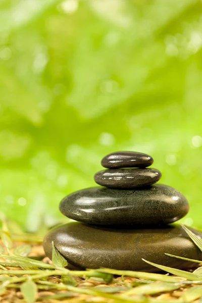 Spa Massage Hot Stones in Green Environment — Stock Photo, Image