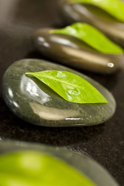 Kylpylähieronta Kuumat kivet vihreillä lehdillä — kuvapankkivalokuva