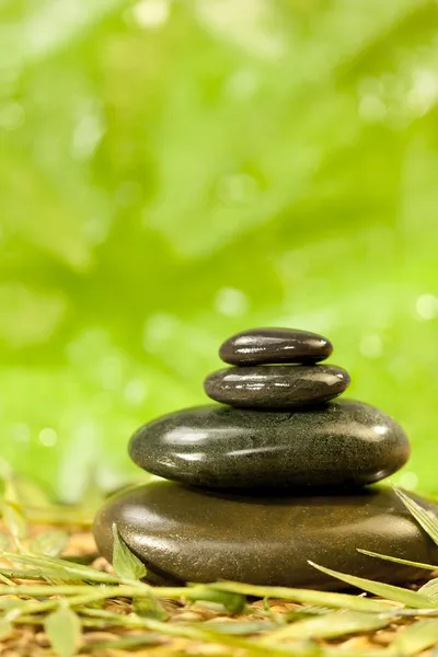 Wellness Massage heiße Steine in grüner Umgebung — Stockfoto