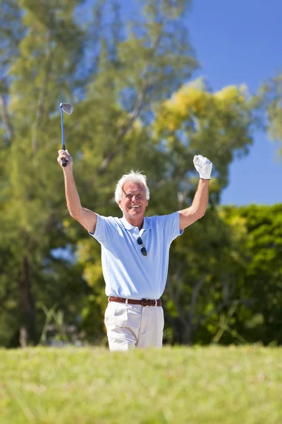 Lycklig senior man firar spelar golf Stockbild