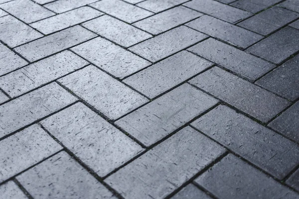 Yakın plan, koyu gri beton kaldırım levhaları.