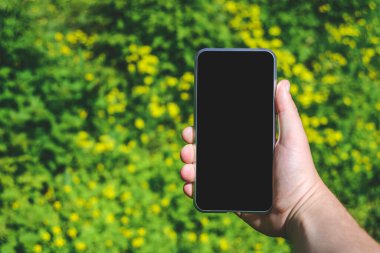 Adamın elinde telefon var. Bahçedeki sarı papatyaların arka planına karşı.