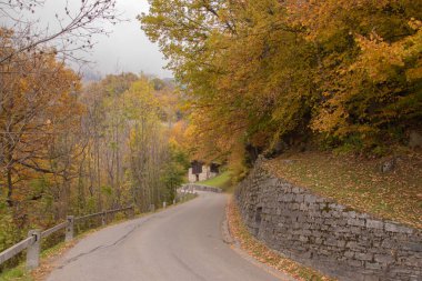 İsviçre 'de, Soglio ve Castasegna yakınlarında kestane ağaçları. Soglio / İsviçre 'de çekildi, 10.30.202