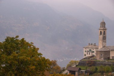 İsviçre 'de, Soglio ve Castasegna yakınlarında kestane ağaçları. 10.30.2021 Soglio / İsviçre 'de çekildi.