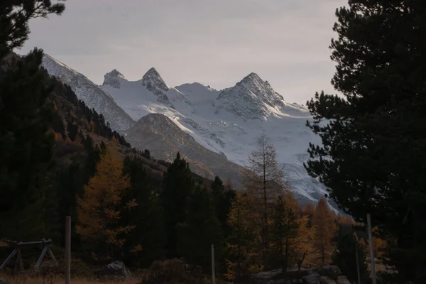 美しいスイスの秋の風景 セント モリッツ モロハ — ストック写真