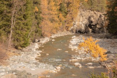 Güzel İsviçre sonbahar manzarası, St. Moritz, Maloja