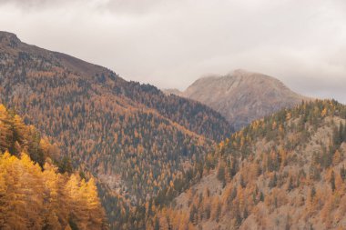 Güzel İsviçre sonbahar manzarası, St. Moritz, Maloja