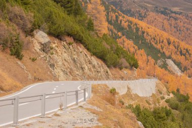 Sonbahar manzarası. Fluela Geçidi İsviçre 'de yüksek bir dağ geçididir. Davos' u Susch 'a bağlar.