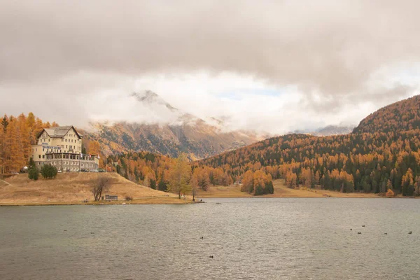 Прекрасный Осенний Пейзаж Швейцарии Снято Санкт Морице Швейцария Октября 2021 — стоковое фото