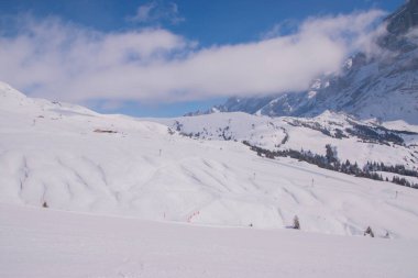 İsviçre 'de karla kaplı dağlar. Jungfrau bölgesinde çekildi, Grindelwald, İsviçre.