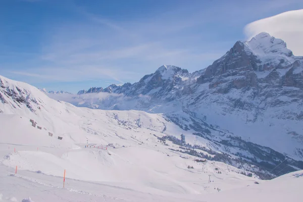 Ośnieżone Góry Szwajcarii Zrobione Regionie Jungfrau Grindelwald Szwajcaria — Zdjęcie stockowe