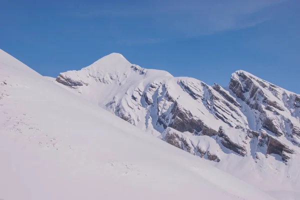 Snötäckta Berg Schweiz Taget Jungfrau Regionen Grindelwald Schweiz — Stockfoto