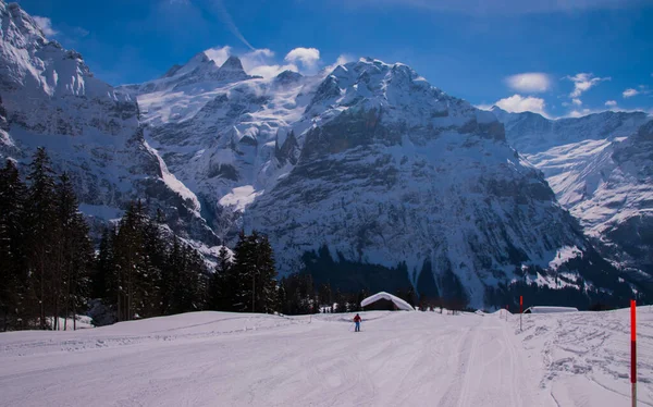 Sviçre Karla Kaplı Dağlar Jungfrau Bölgesinde Çekildi Grindelwald Sviçre — Stok fotoğraf