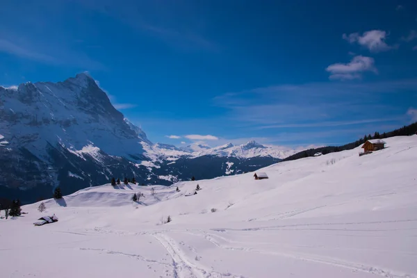 Ośnieżone Góry Szwajcarii Zrobione Regionie Jungfrau Grindelwald Szwajcaria — Zdjęcie stockowe