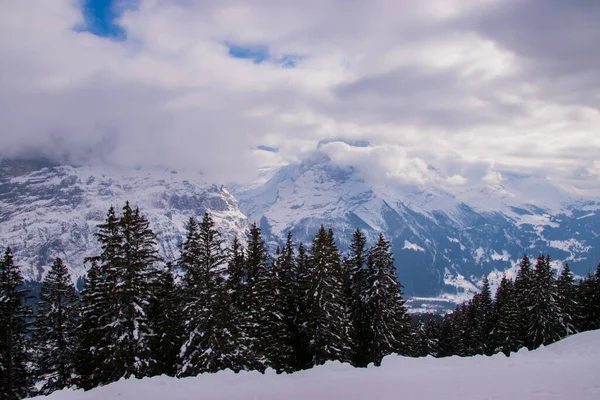 瑞士白雪覆盖的高山 在瑞士Grindelwald Jungfrau地区拍摄 — 图库照片