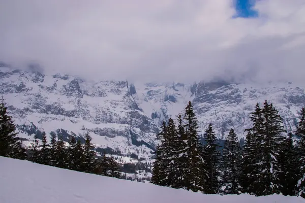 Schneebedeckte Berge Der Schweiz Aufgenommen Der Jungfrau Region Grindelwald Schweiz — Stockfoto