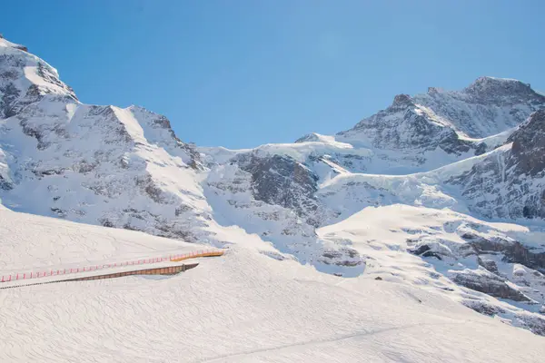瑞士白雪覆盖的高山 在瑞士Grindelwald Jungfrau地区拍摄 — 图库照片